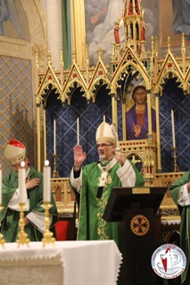 الكاردينال