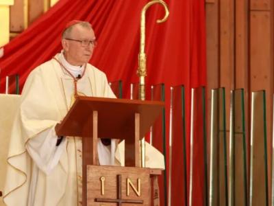 الكاردينال