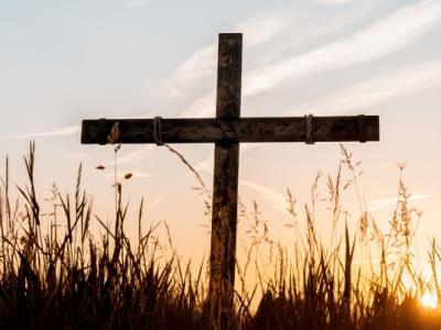 البطريركية اللاتينية