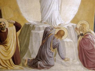 البطريركية اللاتينية