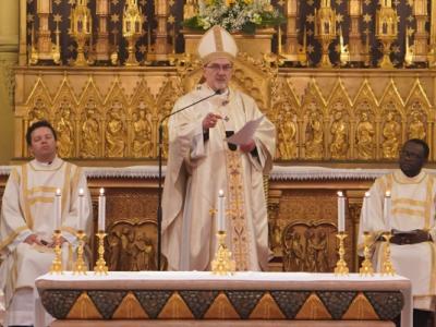 البطريركية اللاتينية