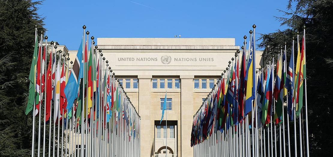 الأمم المتحدة