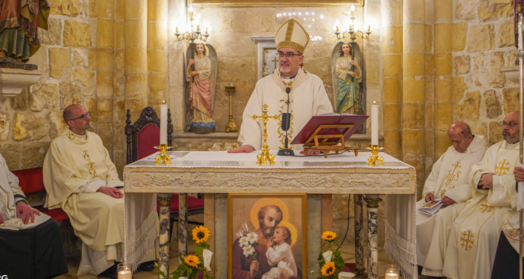 البطريركية اللاتينية